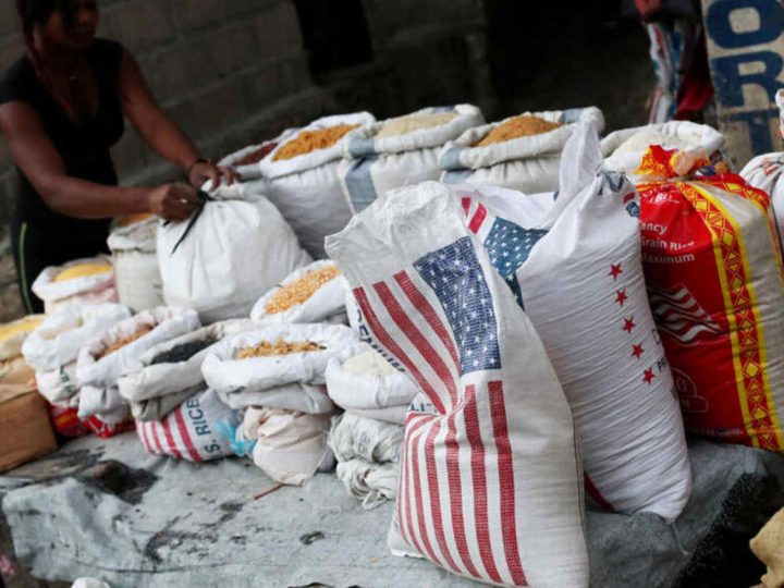 Health Risks Escalate: Arsenic and Cadmium Found in US Rice Exported to Haiti