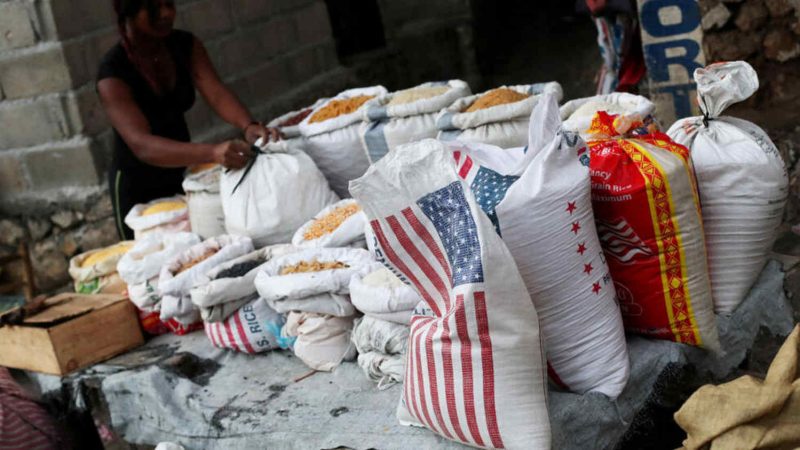 Health Risks Escalate: Arsenic and Cadmium Found in US Rice Exported to Haiti